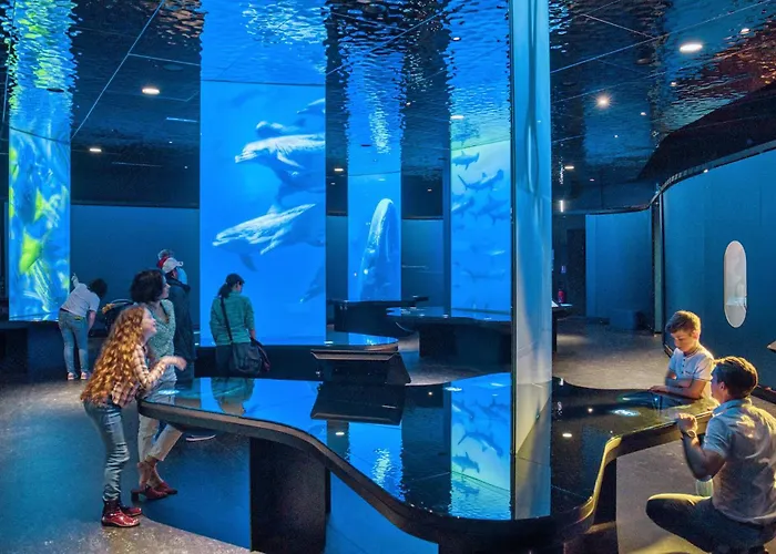 別荘 Maison Proche Port Et